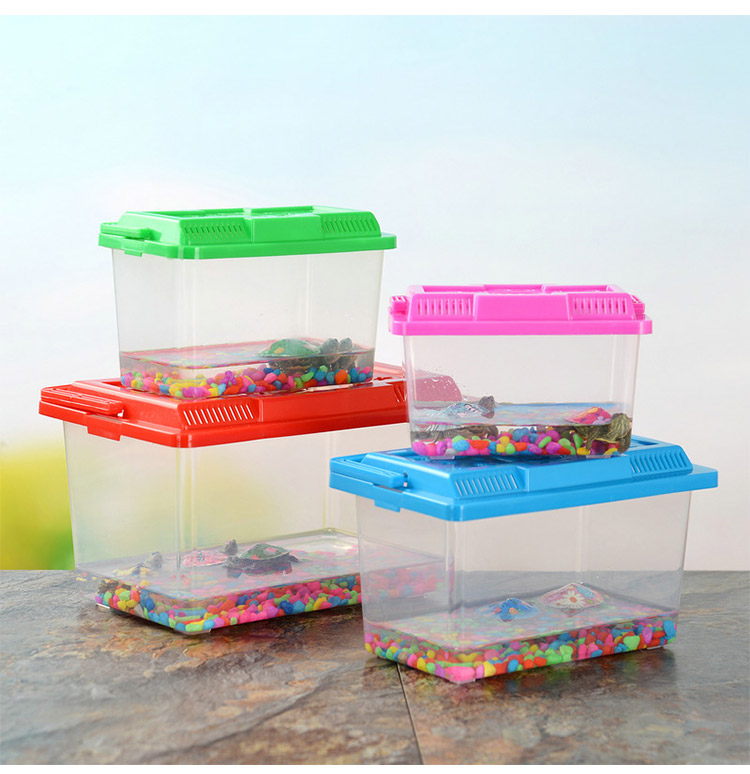 新款小号手提饲养缸运输盒乌龟盒塑料金鱼缸鱼盒宠物盒养蚕蝌蚪